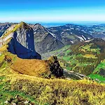 Eiler -