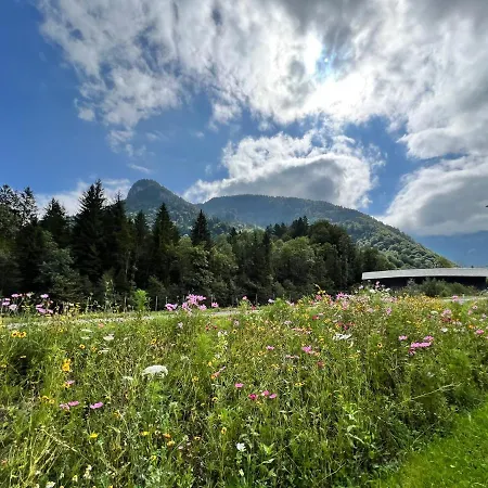 Eiler - Daire Mellau