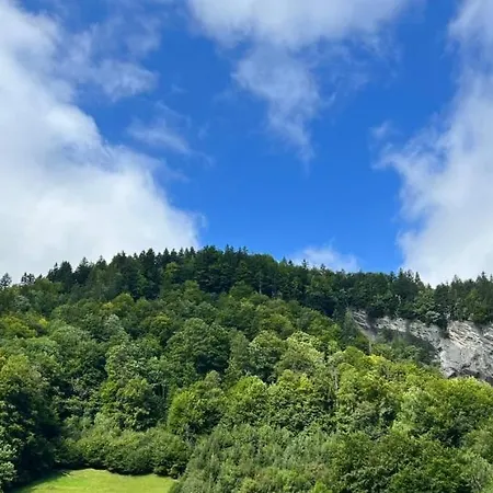 Eiler - * Mellau