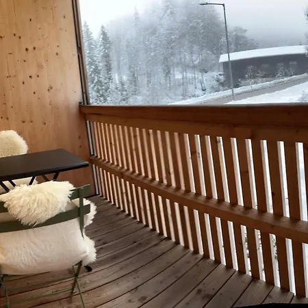 Eiler - Apartment Mellau