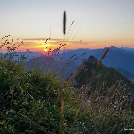 Daire Eiler - Mellau