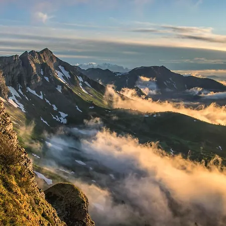 Eiler - Daire Mellau