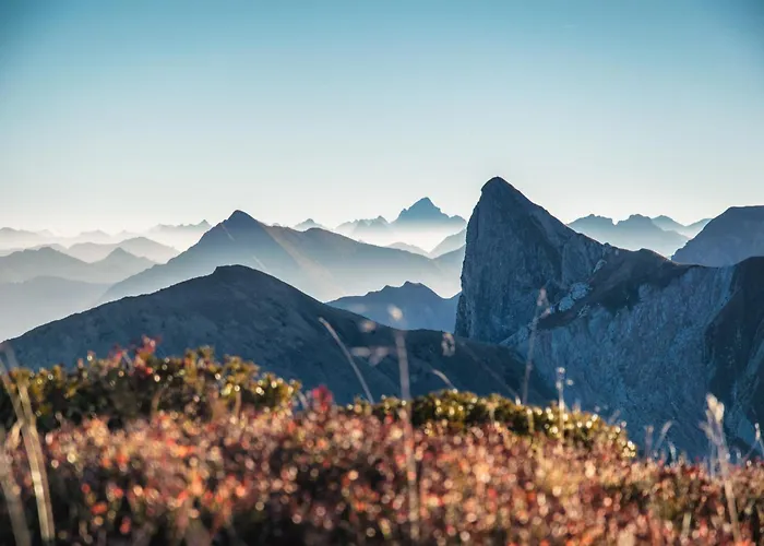 Eiler - Apartment Mellau